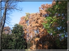 foto Giardini di Porta Venezia